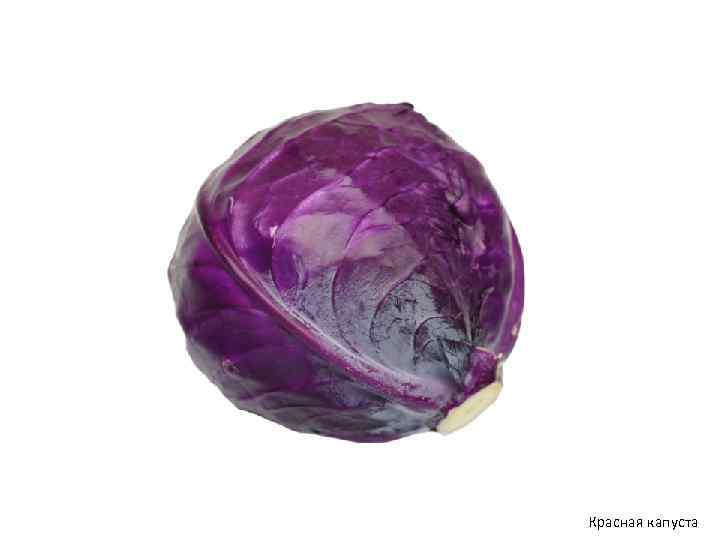 Красная капуста 
