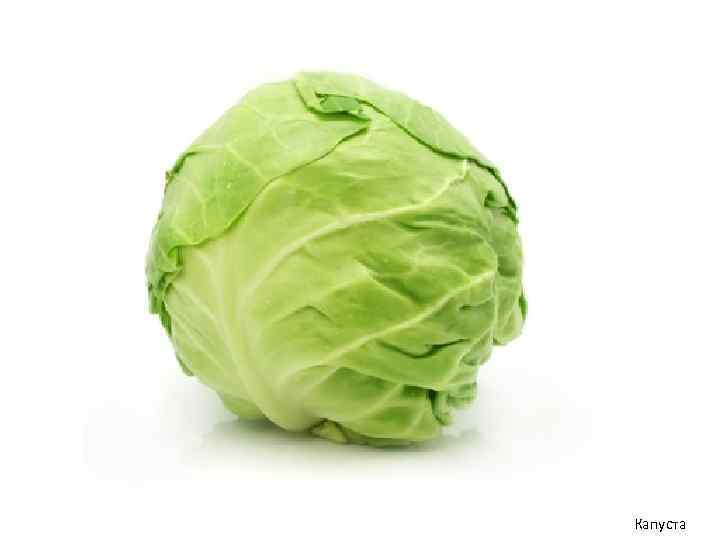 Капуста 