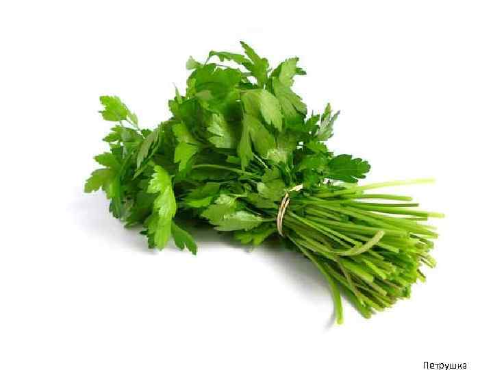 Петрушка 