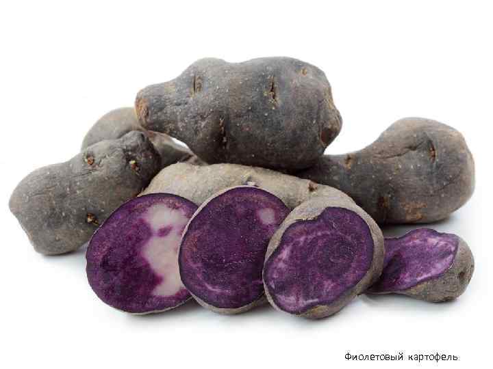 Фиолетовый картофель 