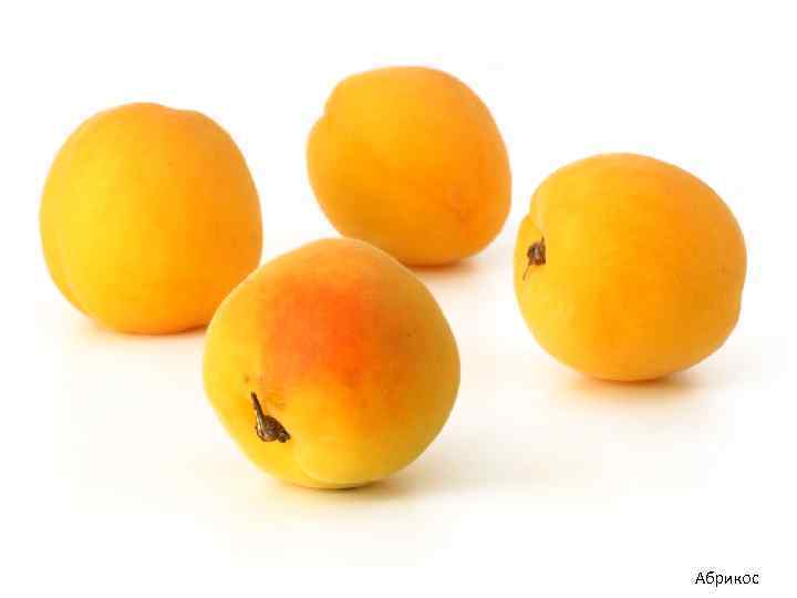 Абрикос 