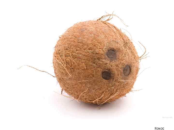 Кокос 