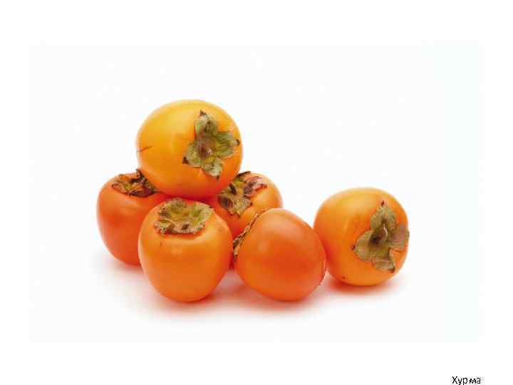 Хурма 
