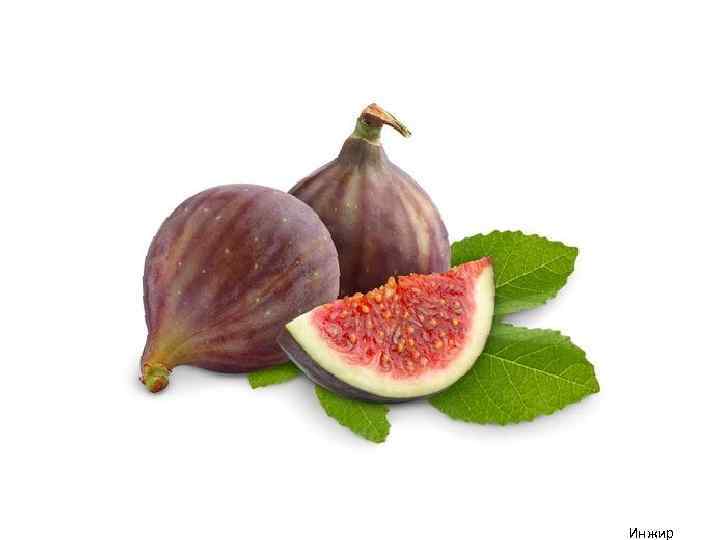 Инжир 
