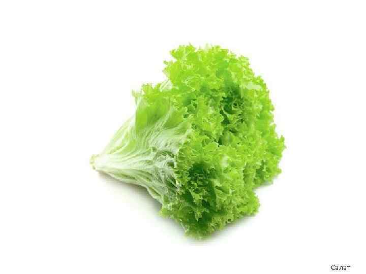 Салат 