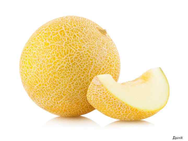 Дыня 