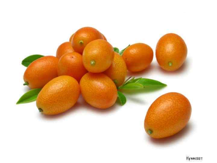 Кумкват 