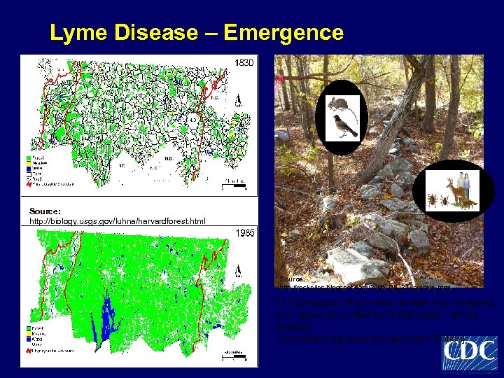 Lyme Disease – Emergence Source: http: //biology. usgs. gov/luhna/harvardforest. html Source: http: //rockpiles. blogspot.