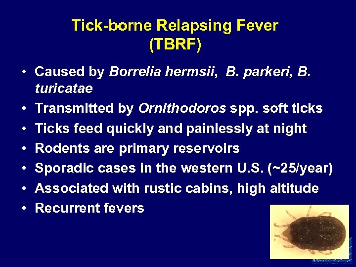 Tick-borne Relapsing Fever (TBRF) • Caused by Borrelia hermsii, B. parkeri, B. turicatae •