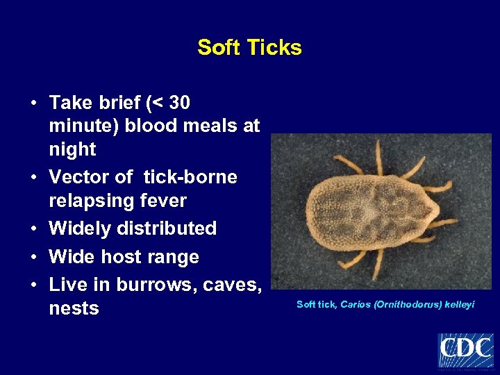 Soft Ticks • Take brief (< 30 minute) blood meals at night • Vector