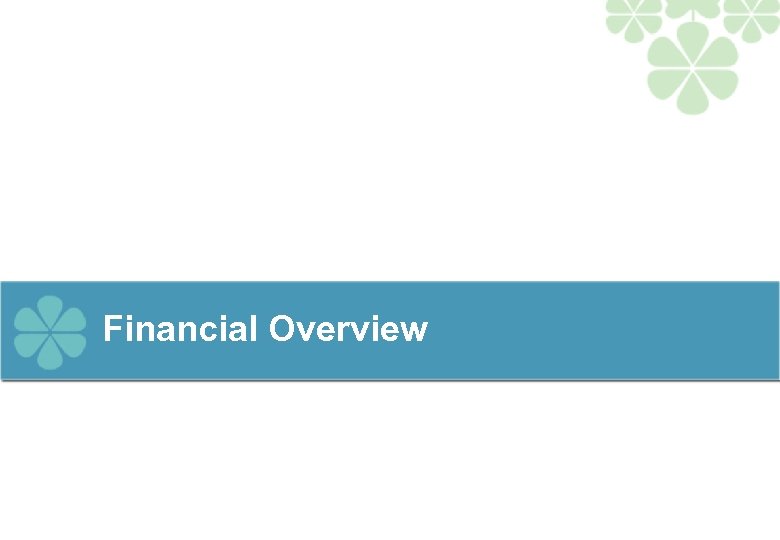 Financial Overview 