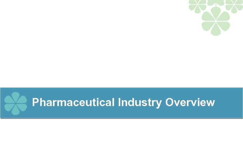 Pharmaceutical Industry Overview 
