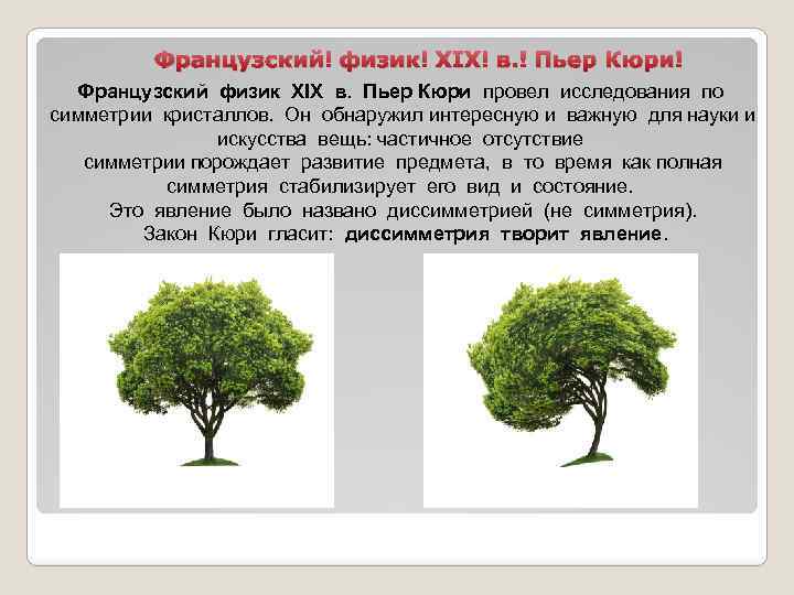 Французский физик XIX в. Пьер Кюри провел исследования по симметрии кристаллов. Он обнаружил интересную