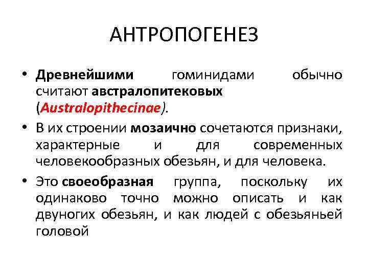 АНТРОПОГЕНЕЗ • Древнейшими гоминидами обычно считают австралопитековых (Australopithecinae). • В их строении мозаично сочетаются