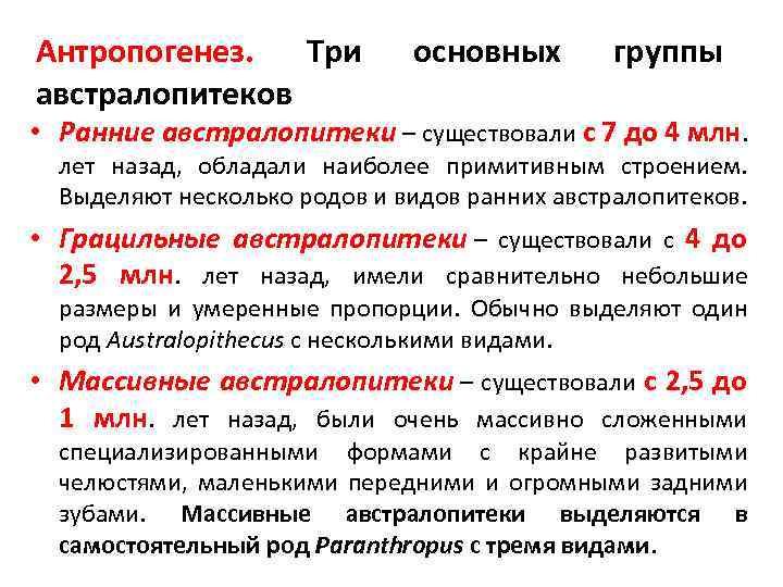 Антропогенез. Три австралопитеков основных группы • Ранние австралопитеки – существовали с 7 до 4