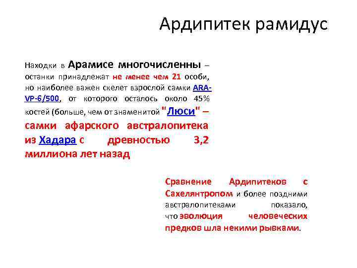 Ардипитек рамидус Находки в Арамисе многочисленны – останки принадлежат не менее чем 21 особи,