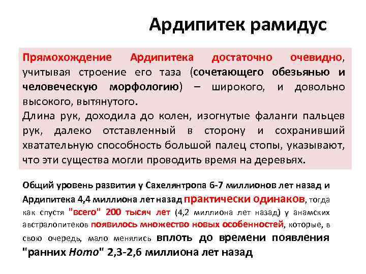 Ардипитек рамидус Прямохождение Ардипитека достаточно очевидно, учитывая строение его таза (сочетающего обезьянью и человеческую