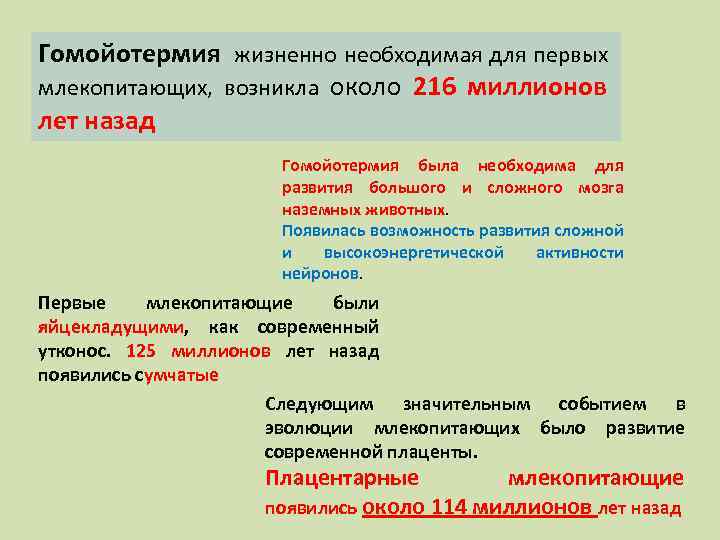 Гомойотермия жизненно необходимая для первых млекопитающих, возникла около 216 миллионов лет назад Гомойотермия была