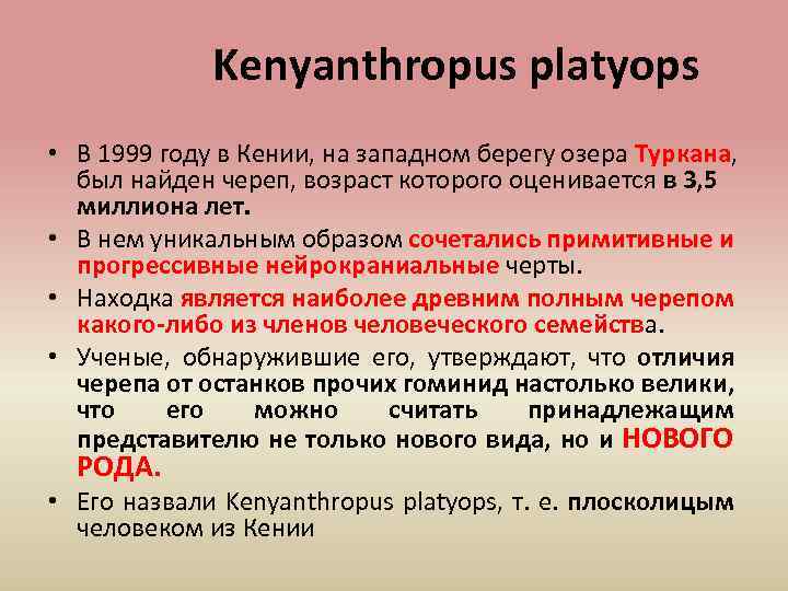 Kenyanthropus platyops • В 1999 году в Кении, на западном берегу озера Туркана, был