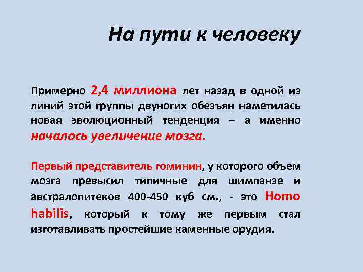 На пути к человеку Примерно 2, 4 миллиона лет назад в одной из линий