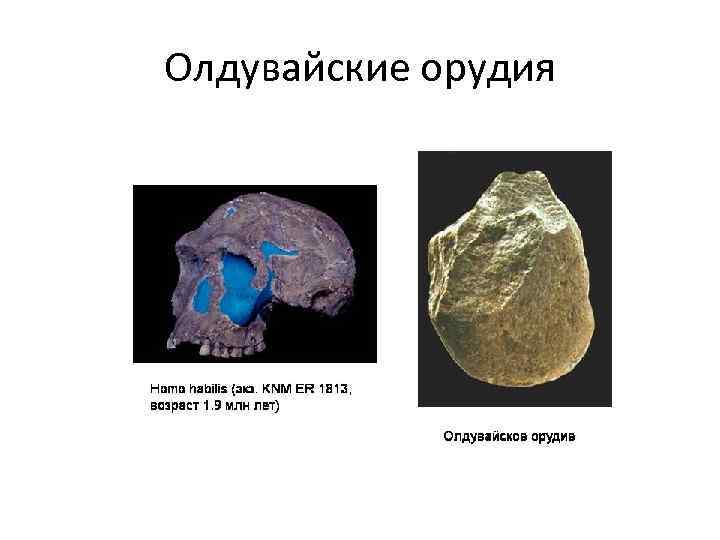 Олдувайские орудия 