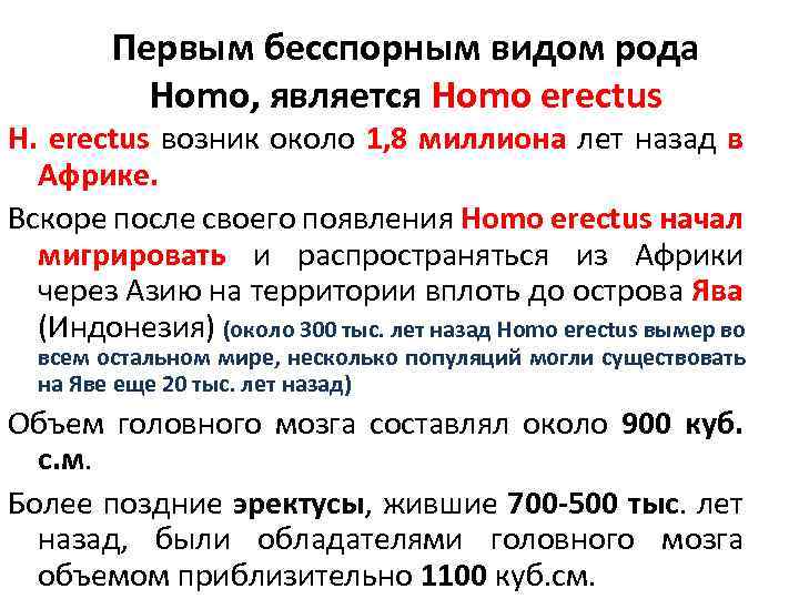 Первым бесспорным видом рода Homo, является Homo erectus H. erectus возник около 1, 8