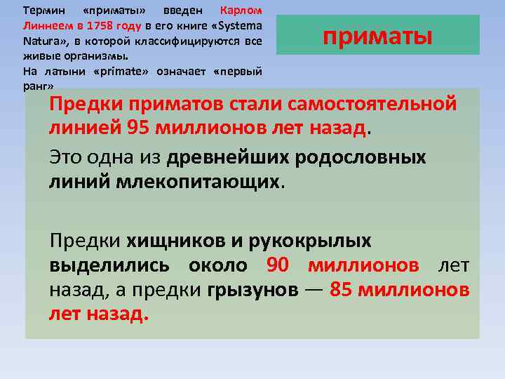 Термин «приматы» введен Карлом Линнеем в 1758 году в его книге «Systema Natura» ,