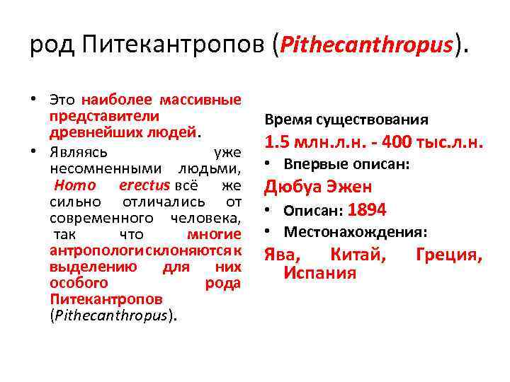 род Питекантропов (Pithecanthropus). • Это наиболее массивные представители древнейших людей. • Являясь уже несомненными