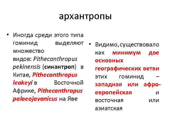 архантропы • Иногда среди этого типа гоминид выделяют • Видимо, существовало множество как минимум