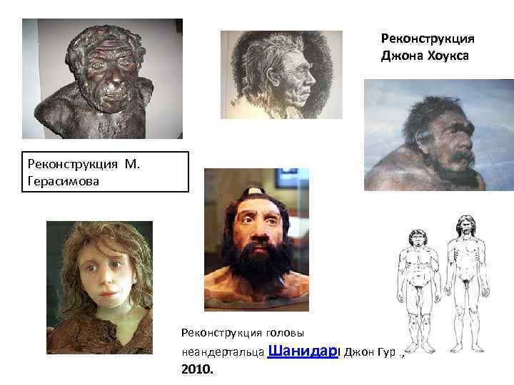 Реконструкция Джона Хоукса Реконструкция М. Герасимова Реконструкция головы неандертальца Шанидар. I Джон Гурч, 2010.