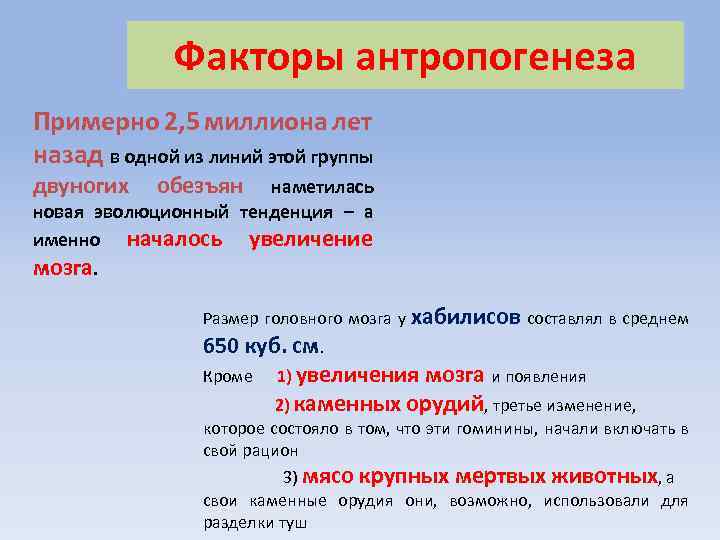 Факторы антропогенеза Примерно 2, 5 миллиона лет назад в одной из линий этой группы