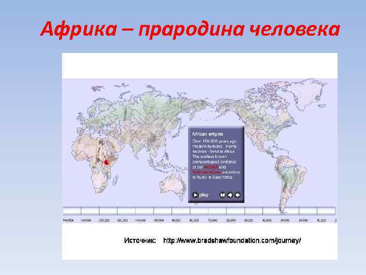 Африка – прародина человека 