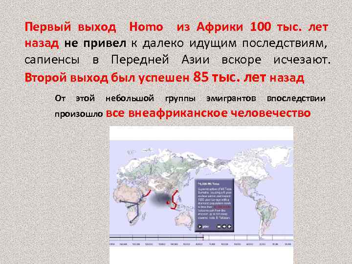 Первый выход Homo из Африки 100 тыс. лет назад не привел к далеко идущим