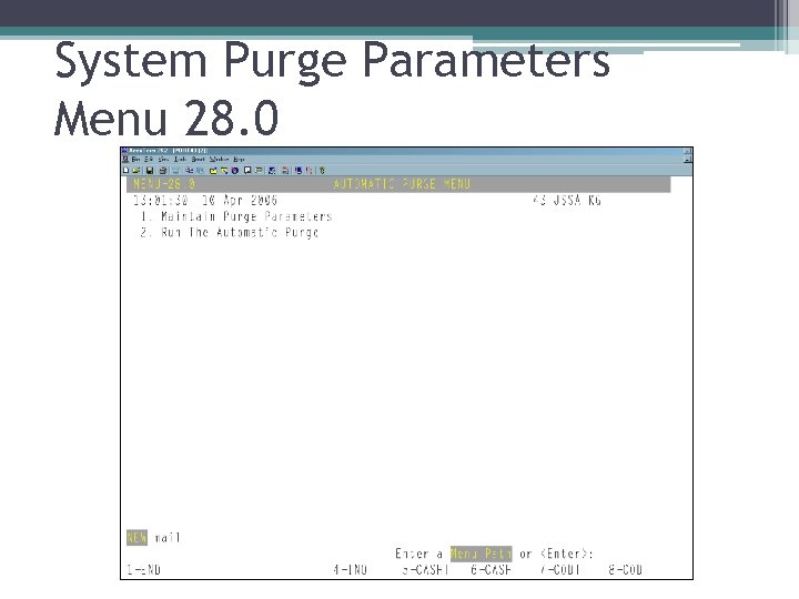 System Purge Parameters Menu 28. 0 