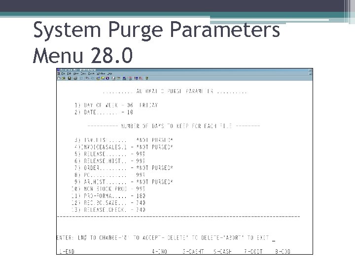 System Purge Parameters Menu 28. 0 