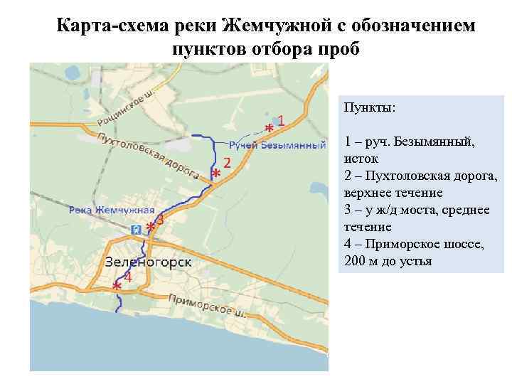 Карта-схема реки Жемчужной с обозначением пунктов отбора проб Пункты: 1 – руч. Безымянный, исток