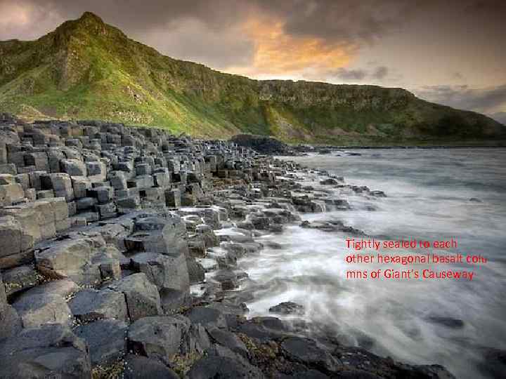Tightly sealed to each other hexagonal basalt colu mns of Giant's Causeway 
