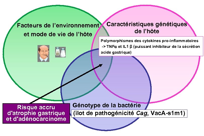 Facteurs de l’environnement et mode de vie de l’hôte Caractéristiques génétiques de l’hôte Polymorphismes