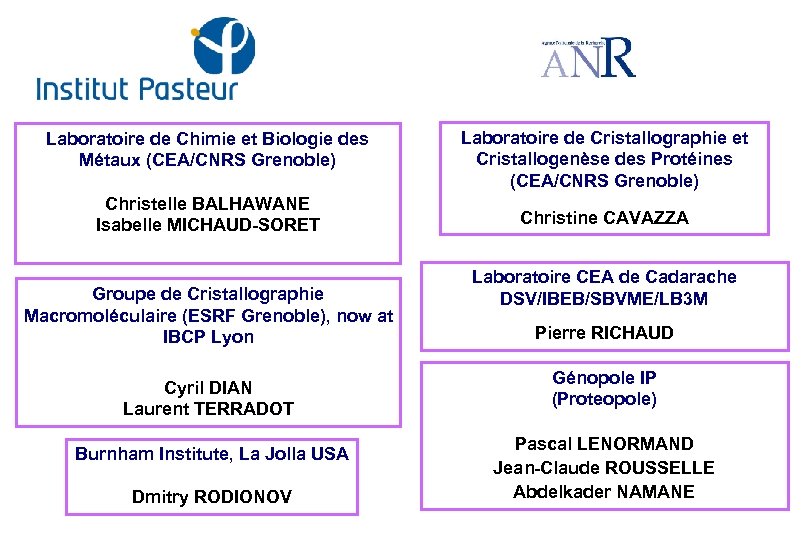 Laboratoire de Chimie et Biologie des Métaux (CEA/CNRS Grenoble) Christelle BALHAWANE Isabelle MICHAUD-SORET Groupe