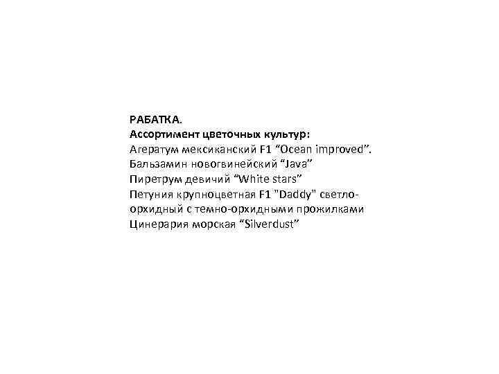 РАБАТКА. Ассортимент цветочных культур: Агератум мексиканский F 1 “Ocean improved”. Бальзамин новогвинейский “Java” Пиретрум