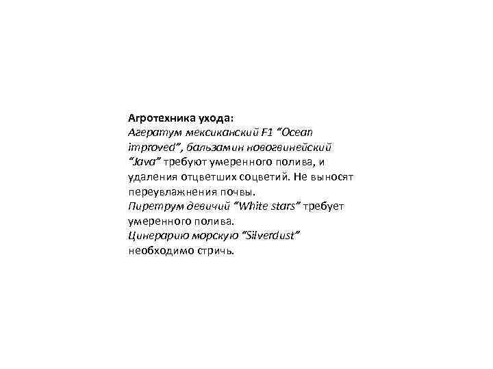 Агротехника ухода: Агератум мексиканский F 1 “Ocean improved”, бальзамин новогвинейский “Java” требуют умеренного полива,