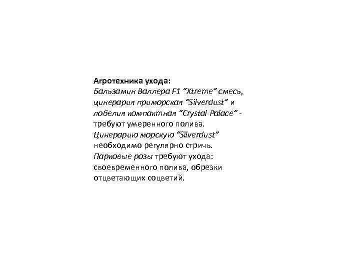 Агротехника ухода: Бальзамин Валлера F 1 “Xtreme” смесь, цинерария приморская “Silverdust” и лобелия компактная