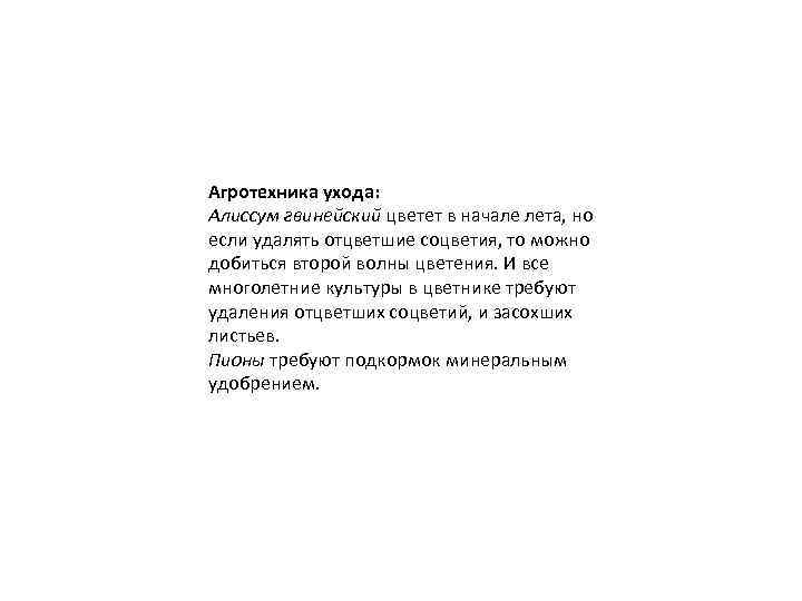 Агротехника ухода: Алиссум гвинейский цветет в начале лета, но если удалять отцветшие соцветия, то