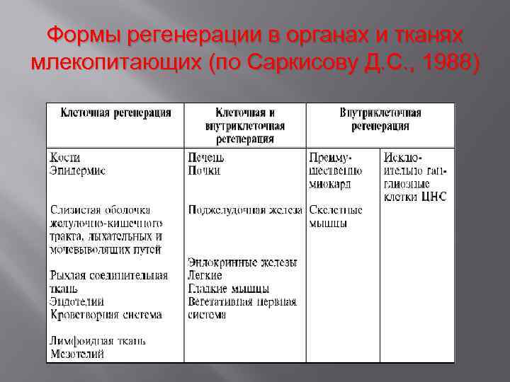 Формы регенерации в органах и тканях млекопитающих (по Саркисову Д. С. , 1988) 