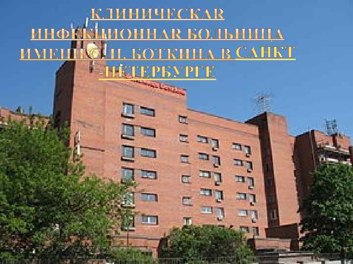 САНКТ -ПЕТЕРБУРГЕ 