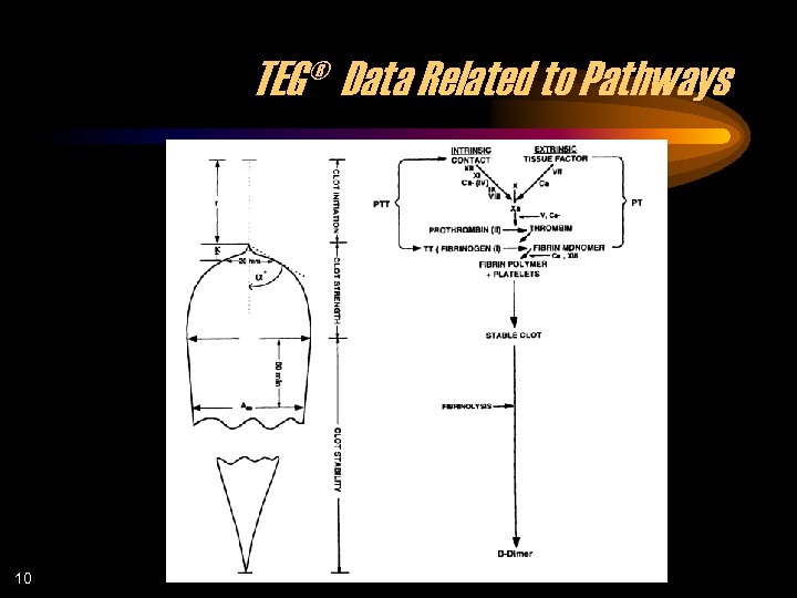 TEG® Data Related to Pathways 10 