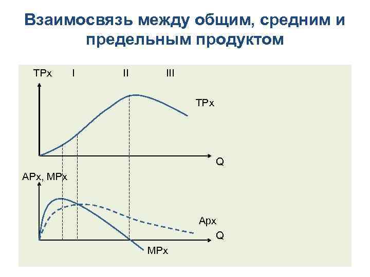 Взаимосвязь между общим, средним и предельным продуктом TPx I III TPx Q APx, MPx