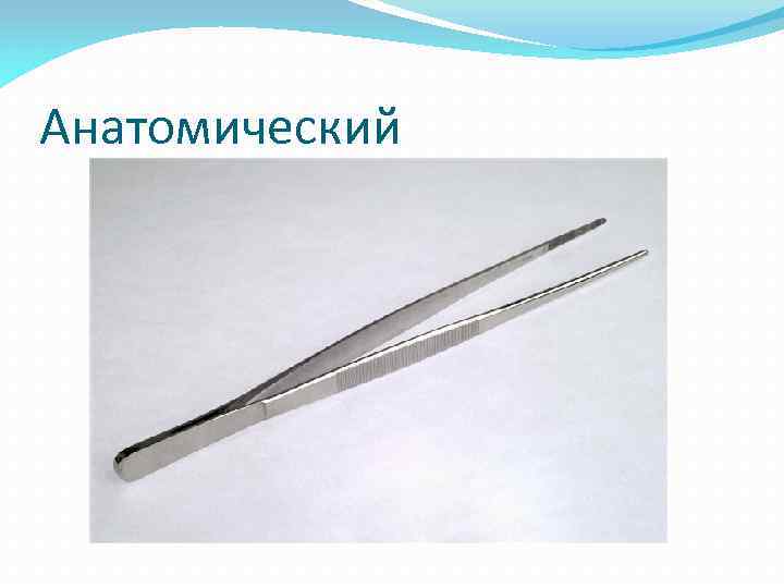 Анатомический 