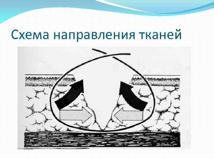 Схема направления тканей 