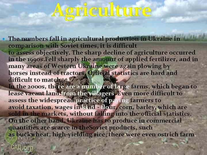 Agriculture The numbers fall in agricultural production in Ukraine in comparison with Soviet times,